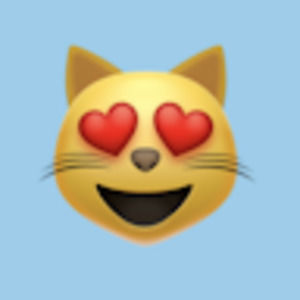 Meet your Posher, Gocatgo